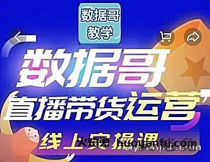 数据哥直播带货运营线上进阶课视频插图