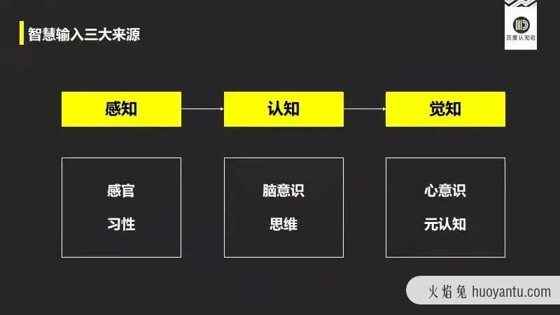 禅宗大智慧与创新力的底层逻辑