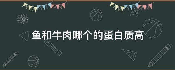 鱼和牛肉哪个的蛋白质高