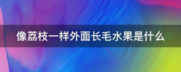 像荔枝一样外面长毛水果是什么图片