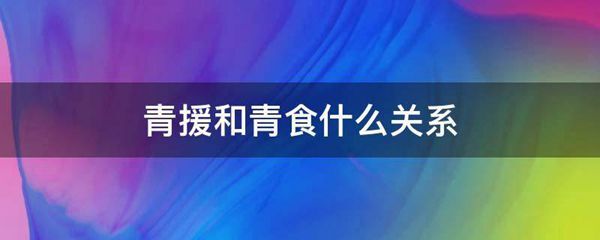 青援和青食什么关系