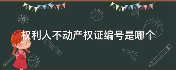 权利人不动产权证编号是哪个