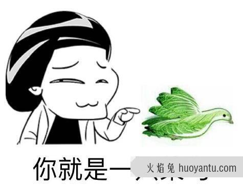 网络中的小白是什么意思？网络上小白的8种解说 新手？菜鸟？