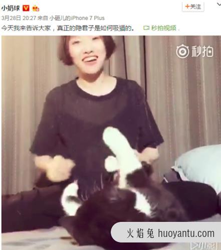 吸猫是什么意思什么梗？猫咪有毒啊？一日吸猫，终身养猫想猫成猫奴