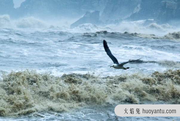 历史上最严重的一场洪水：史前大洪水(来历不明大海啸)