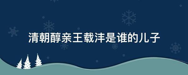 清朝醇亲王载沣是谁的儿子