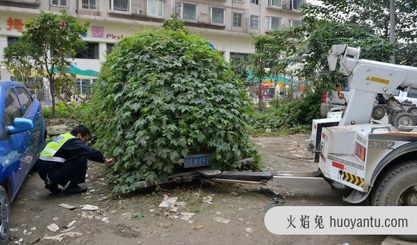 僵尸车是什么意思 城市里僵尸车放烂也不开走 发生的原因是什么