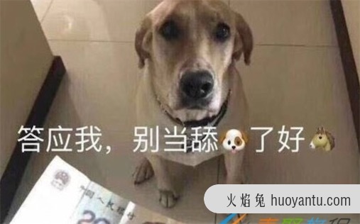 舔狗是什么意思什么梗 舔狗指毫无庄严去跪舔别人的人