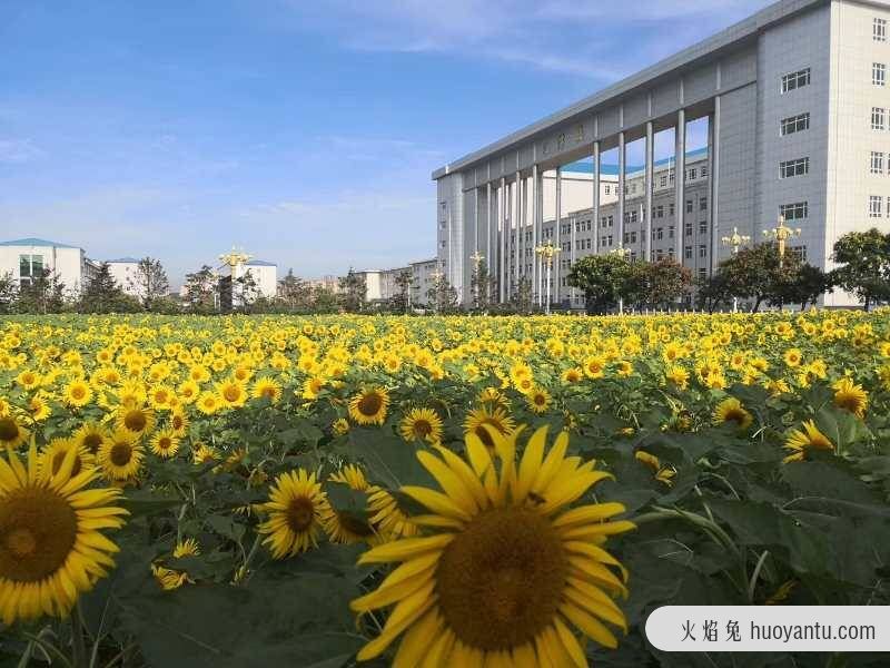 “美丽校园、和谐校园、生态校园”——我们的辽宁财贸学院