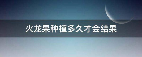 火龙果种植多久才会结果