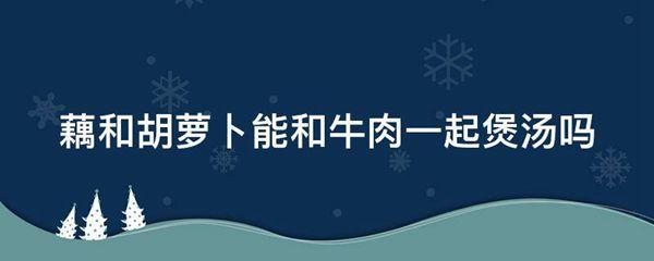 藕和胡萝卜能和牛肉一起煲汤吗