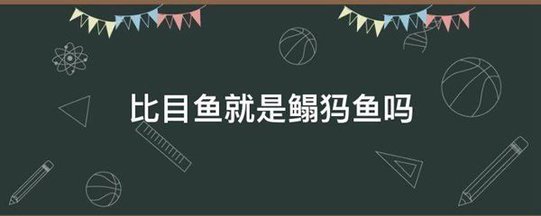 比目鱼就是鳎犸鱼吗