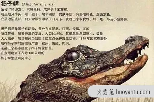 湖北简称为什么是鄂?鄂的由来是怎样的?