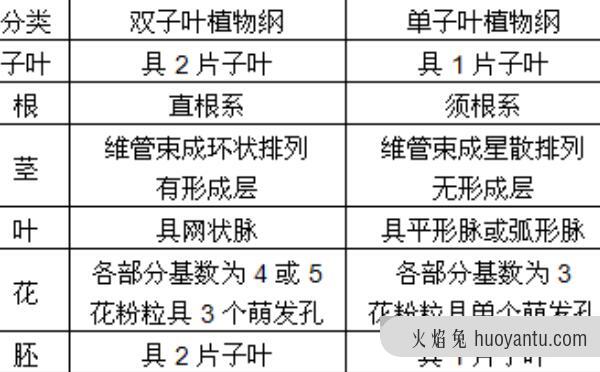 单子叶植物与双子叶植物的区别，胚、根、茎、叶、花各不同