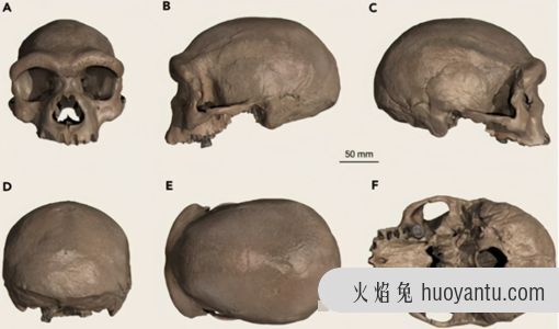 中国哈尔滨龙人是什么人 揭秘14.6万年前哈尔滨龙人