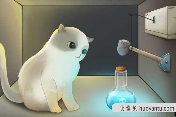 薛定谔的猫比喻什么?薛定谔的猫通俗解释，事物不确定性