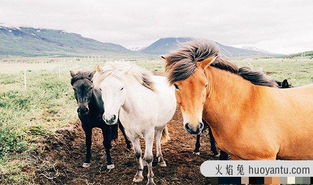 最危险的事情莫过于?世界上十大最危险的事情