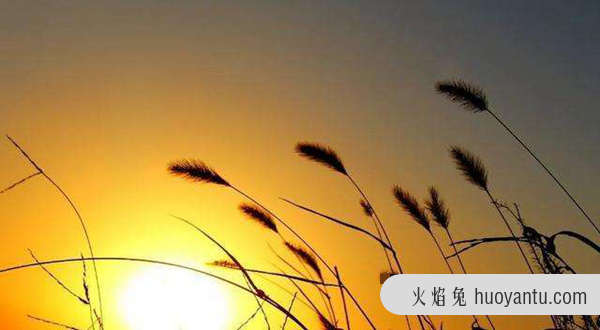 太阳燃烧完了会怎样?太阳消失人类能活多久