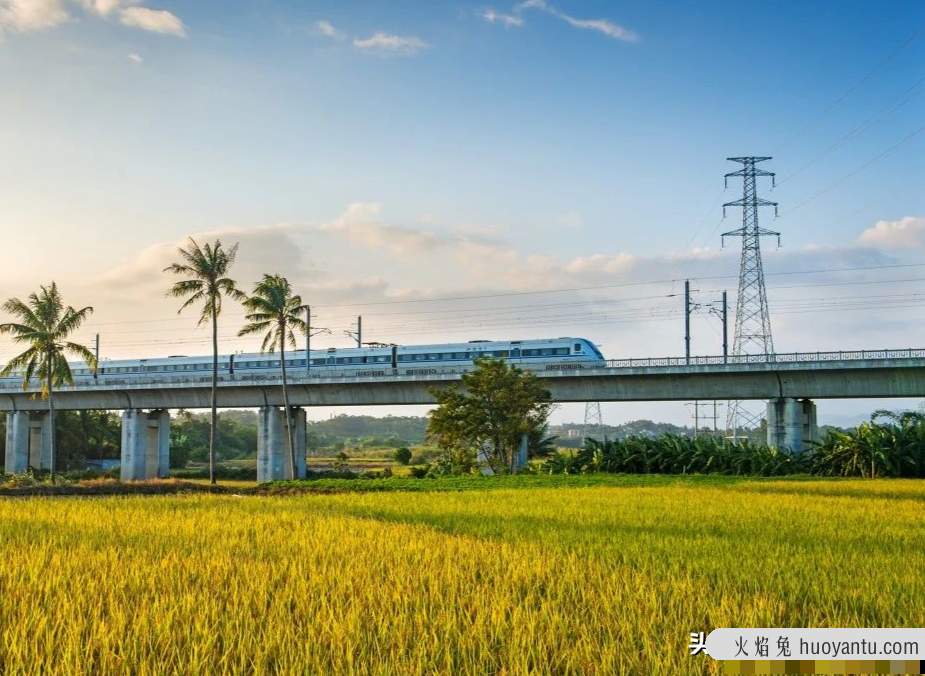 去三亚大东海过冬吧！这家包吃住接送的康养公寓，超适合爸妈去住