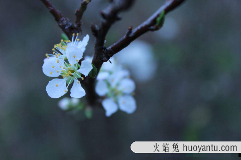 躲春是所有人还是犯太岁的人2