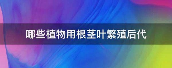 哪些植物用根茎叶繁殖后代