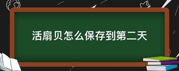 活扇贝怎么保存到第二天