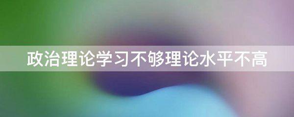 政治理论学习不够理论水平不高