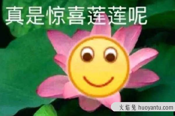 白莲花是什么意思?表面单纯实则心机(做作的绿茶女)