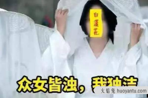 白莲花是什么意思?表面单纯实则心机(做作的绿茶女)