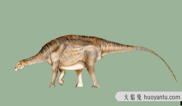 内乌肯龙：阿根廷大型食草恐龙（长15米/8300万年前）