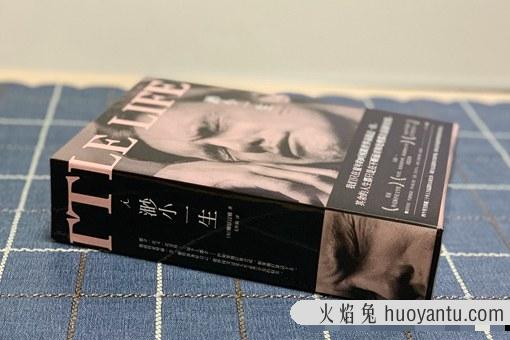 《渺小一生》讲的什么?《渺小一生》短评