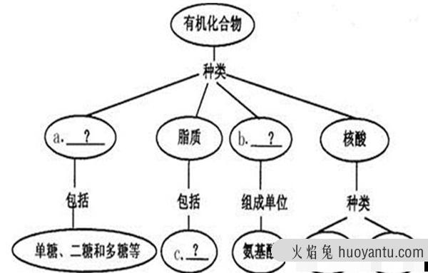 有机无机之间有区别吗？有机无机具体区别在哪里