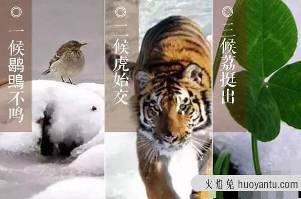 大雪节气的含义是什么，天将要下大雪（每年的12月6-8日）