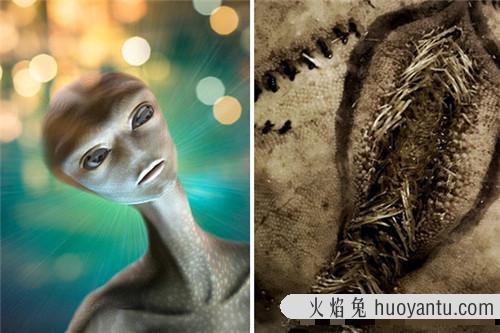 海边发现大量恐怖的“异形蛋” 犹如电影里的外星生物