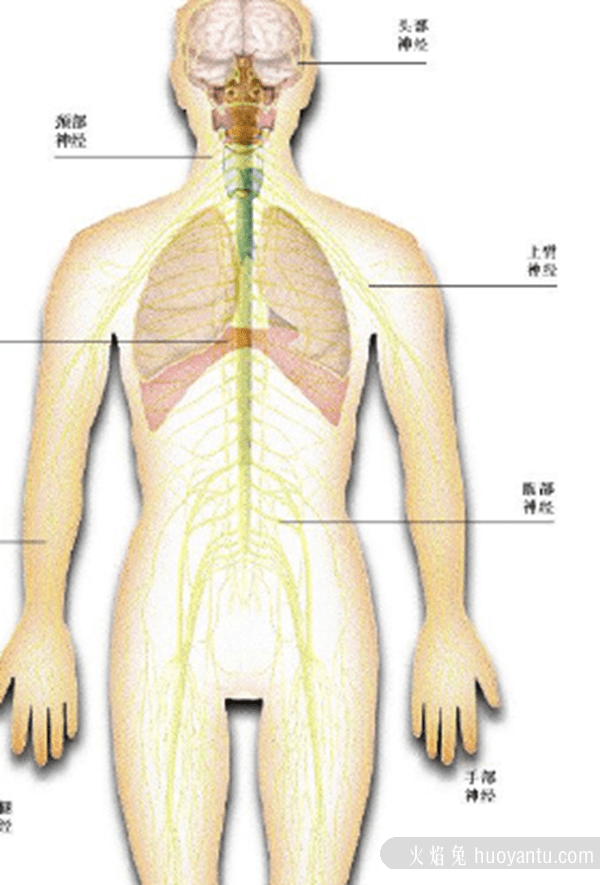 人体丹香之谜,元代气功大师遗体异香终口不散