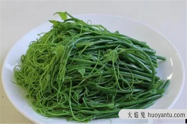 龙须菜为什么开水一烫就化了：又名海菜（营养丰富的蔬菜）