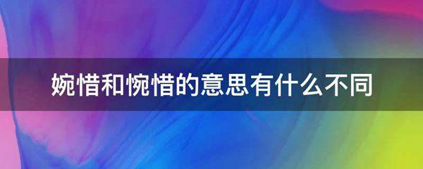 婉惜和惋惜的意思有什么不同