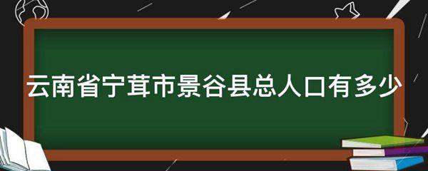 云南省宁茸市景谷县总人口有多少