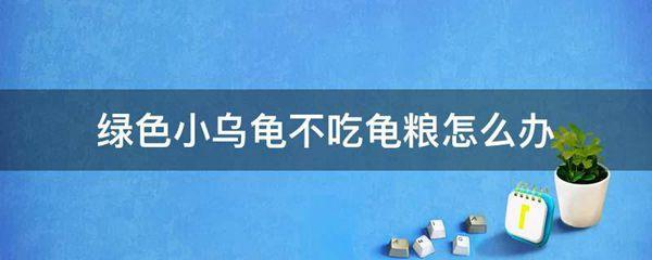 绿色小乌龟不吃龟粮怎么办