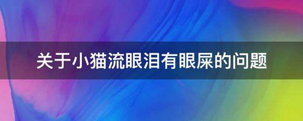 关于小猫流眼泪有眼屎的问题