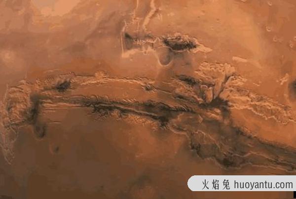 科学家在火星发现树木?或许火星之前有过森林（存在生命）