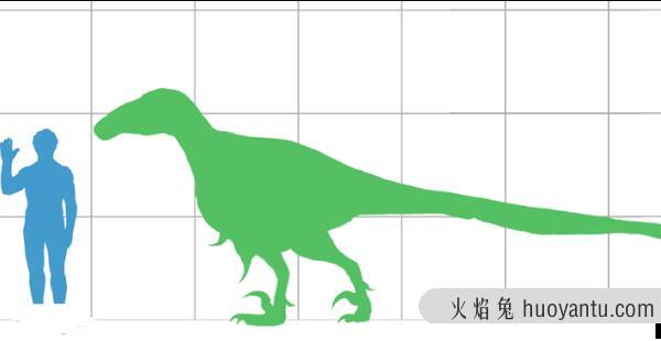 犹他盗龙：最聪明与危险的恐龙（长5.9米/1.25亿年前）