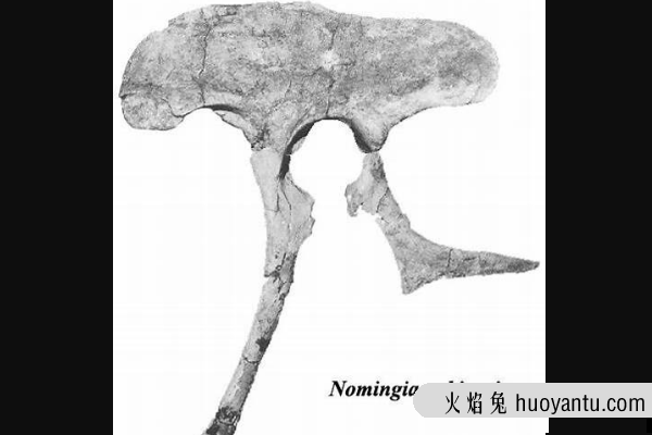 天青石龙:蒙古小型恐龙(长80厘米/尾巴带有扇状羽毛)