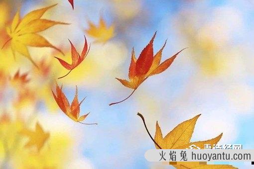 今年将迎124年来最早秋分是怎么回事?为什么今年秋分最早?