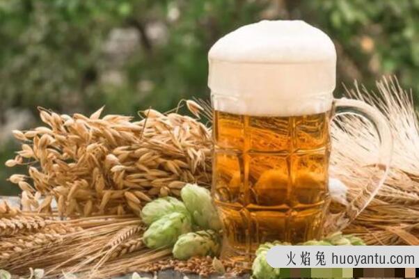 啤酒为什么有泡沫：蛋白质和二氧化碳作用(饮用更舒适)