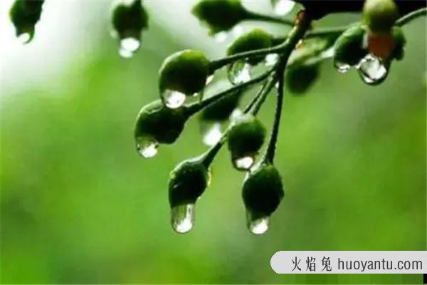 梅雨期是什么时候：六月至七月（持续一个月）