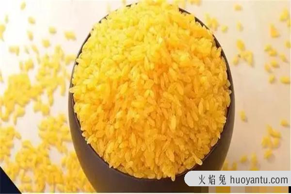 转基因食品有哪些：转基因棉花（可榨油）