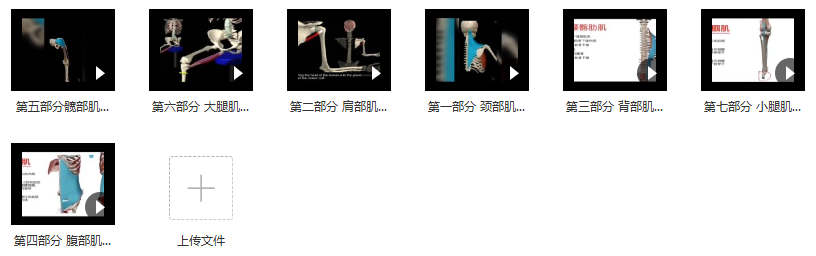 3D动画解剖与体态关系