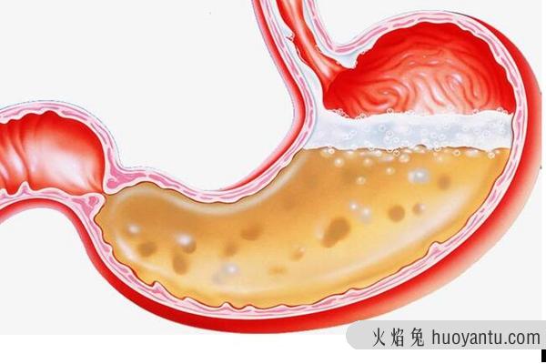 胃液为什么是酸性的?维持肠胃无菌环境(激活蛋白酶)