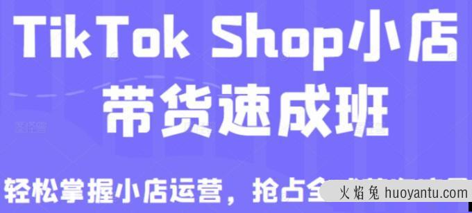 tiktok shop小店带货速成班（备战全球流量）